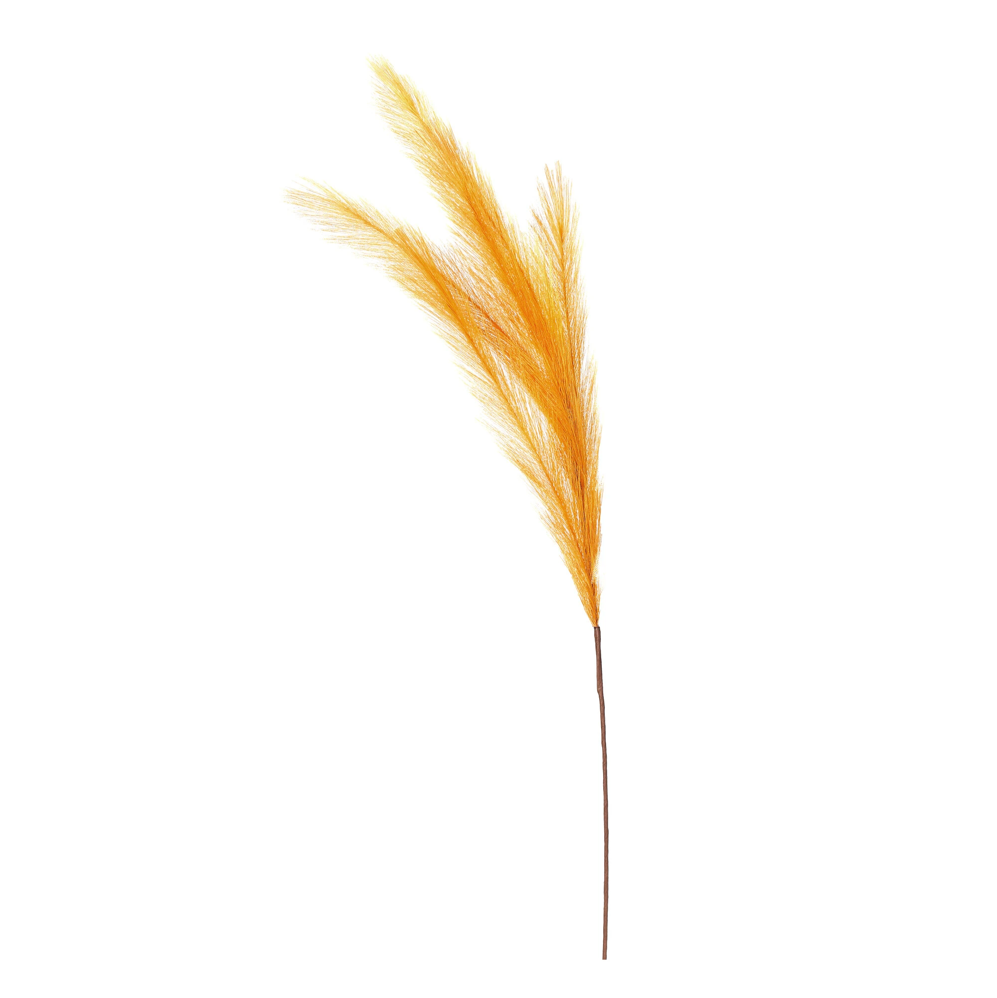 Artificial Pampas Grass Set, Honey, Polyester, 80 cm, 3 pcs