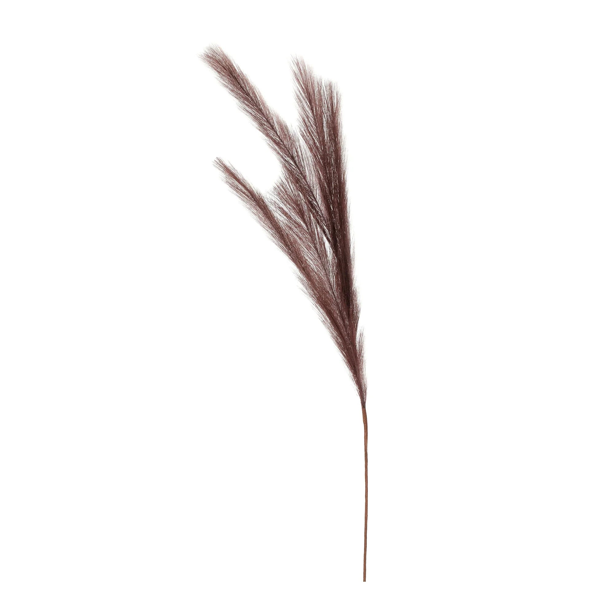 Artificial Pampas Grass Set, Coffee, Polyester, 80 cm, 3 pcs