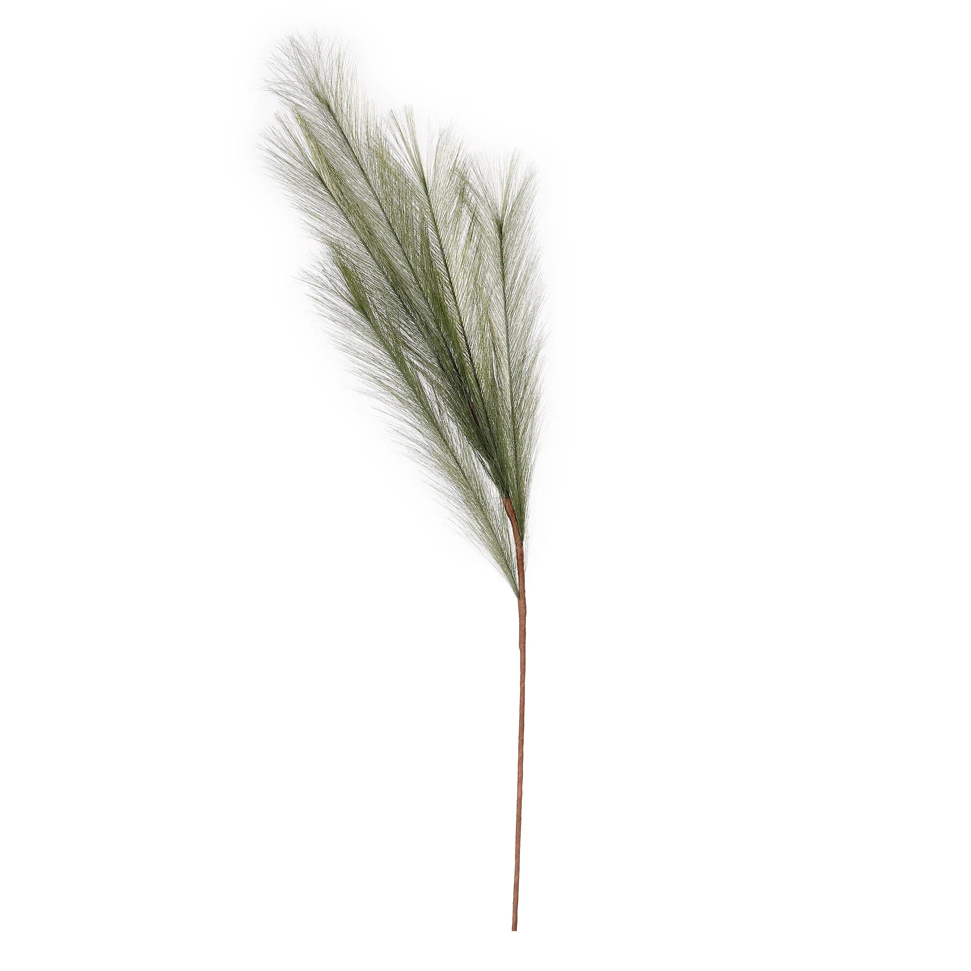 Artificial Pampas Grass Set, Olives, Polyester, 80 cm, 3 pcs